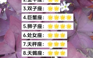 星座运势2021年，星座运势2021年运势