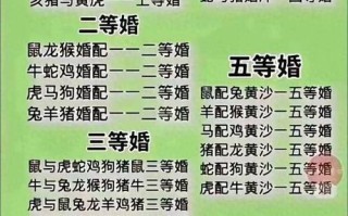 婚姻属相配对大全很准，婚姻属相配对表
