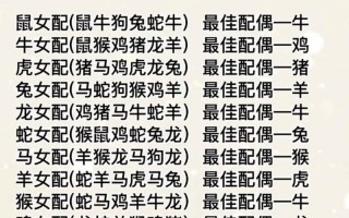 十二生肖最佳姻缘配对 - 十二生肖最佳姻缘配对蛇
