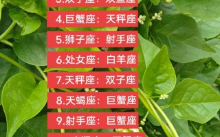 2021下半年星座运势 - geo2021年下半年星座运势