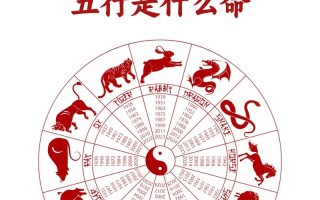 十二生肖今日运势12属相每天运程，十二生肖今日运势解读