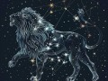 星座运势占卜 - 星座运势占卜多少钱一次