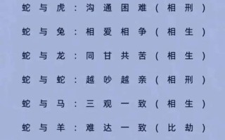 十二生肖配对查询 - 十二生肖配对查询男女