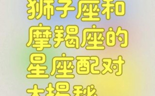 48星座查询配对 - 48星座配生日配对