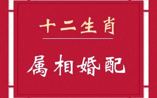 婚姻配对 - 婚姻配对免费配对