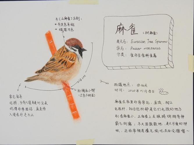 水瓶座今日运势男,水瓶座今日运势男人-第4张图片 水瓶座今日运势男,水瓶座今日运势男人-第4张图片