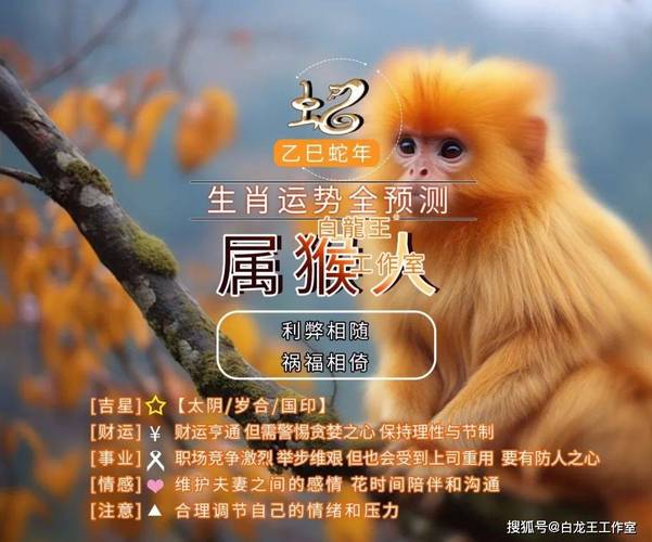 2023年下半年运势,2023年运势完整版-第3张图片 2023年下半年运势,2023年运势完整版-第3张图片