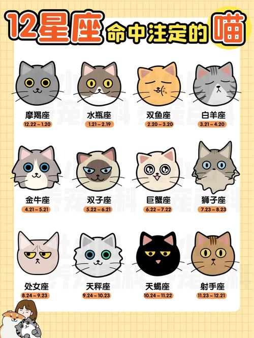 12星座夫妻配对,12星座夫妻配对表-第4张图片 12星座夫妻配对,12星座夫妻配对表-第4张图片